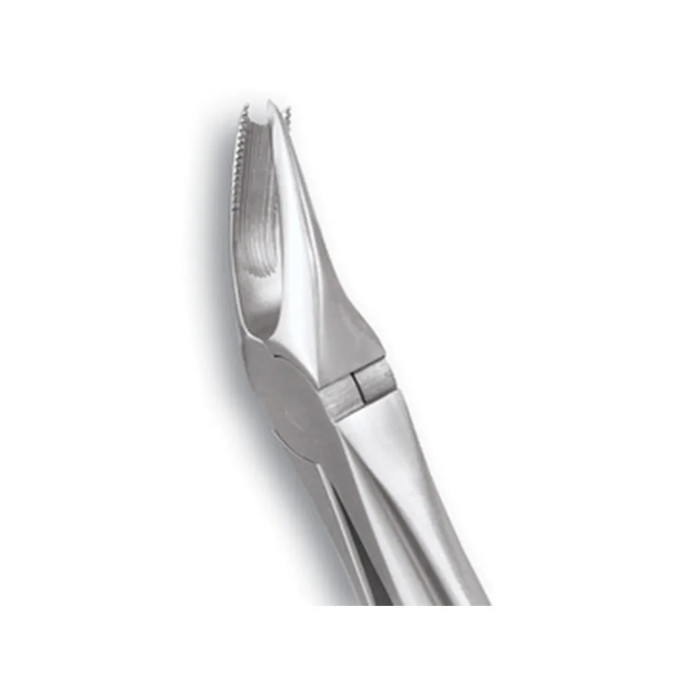 GDC Extraction Forceps Separating Upper Molars 55 Standard (FX55S