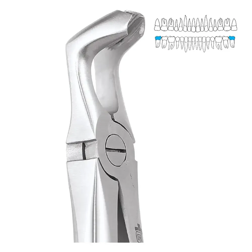 GDC Extraction Forcep Lower Third Molars 79 Standard (FX79S) Dentalkart