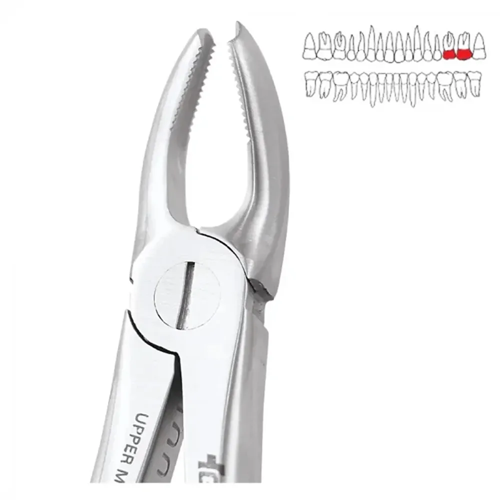 GDC Extraction Forceps Upper Molar Left Premium (FX18P) Online at Best