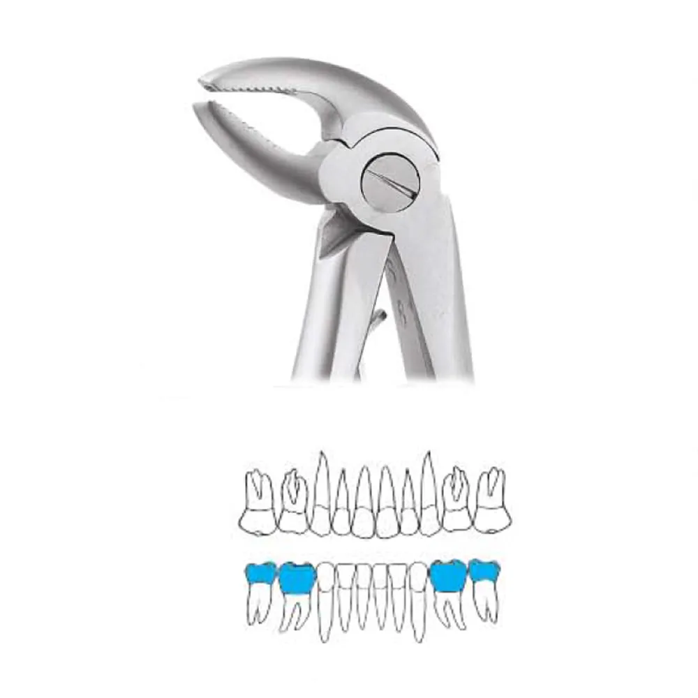 GDC Extraction Forceps Lower Pedo Premium (Fx1cp) Online at Best Price