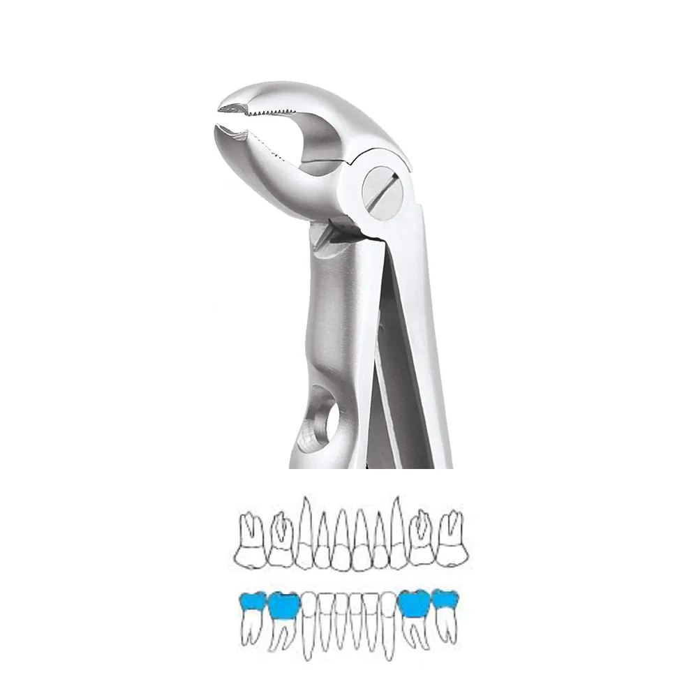 GDC Extraction Forceps Lower Molars Pedo Premium (FX2CP) Online at Best