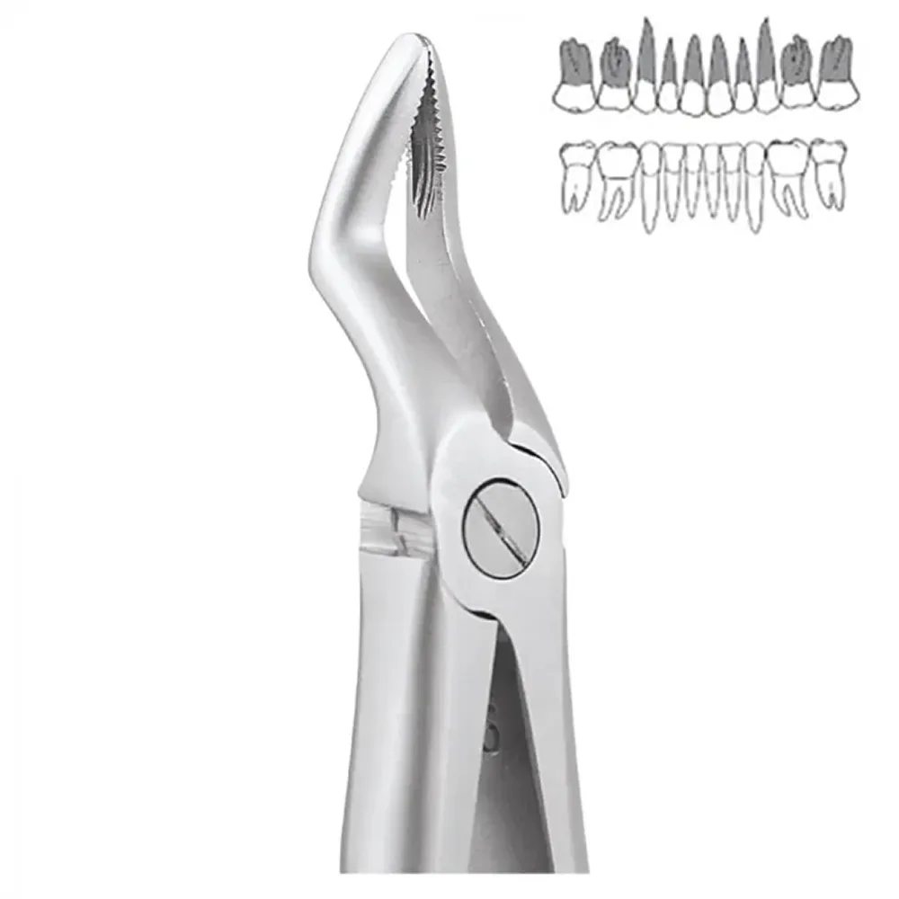GDC Extraction Forceps Upper Roots Pedo Standard (FX7CS) Online at Best