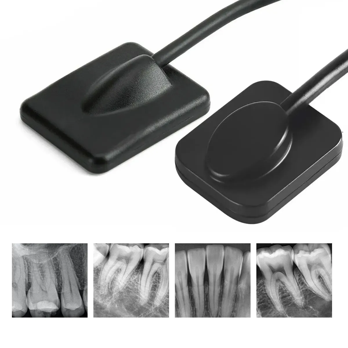 Buy Endoking Dental RVG Sensor for Digital Radiography online at best