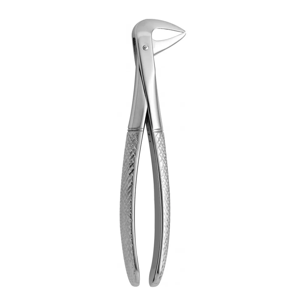 Extraction Forceps Buy Extraction Forceps Online at Best Price